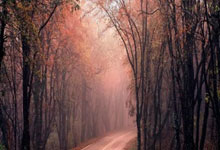 球速体育 -全明星赛清晨走向成谜，瓦伦西亚调整名单，震撼外界，细节决定成败的简单介绍